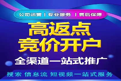 百度竞价排名：从失败到成功的转型案例